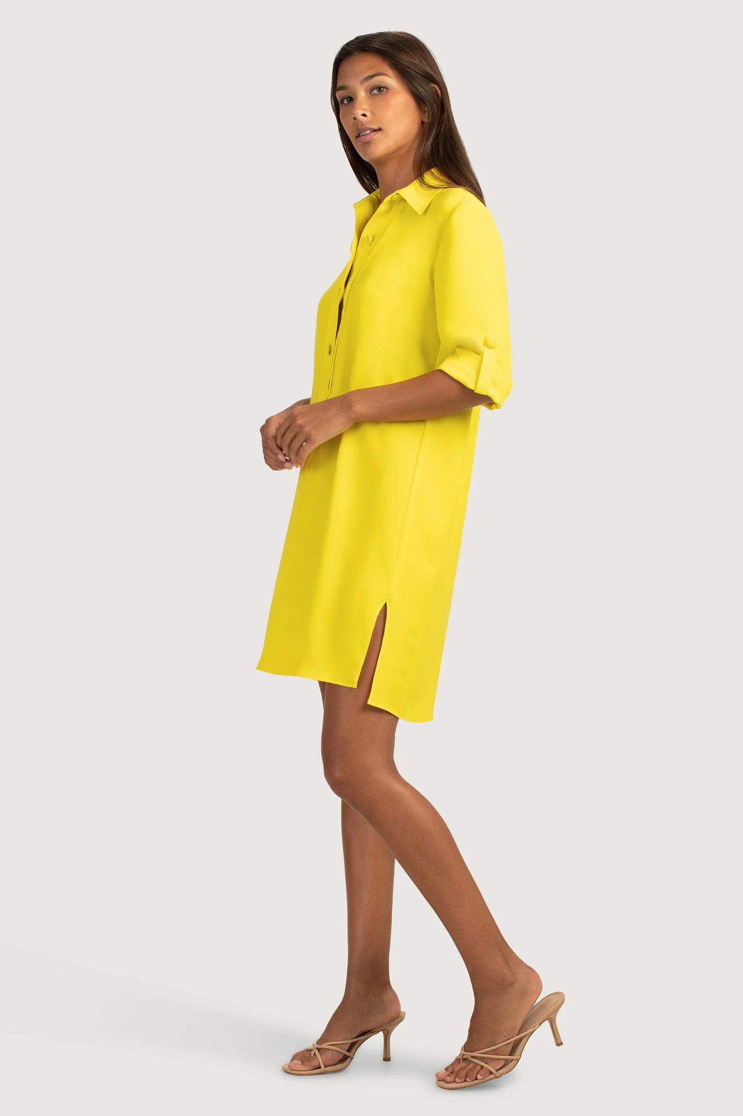 Portrait 2 Shirt Dress