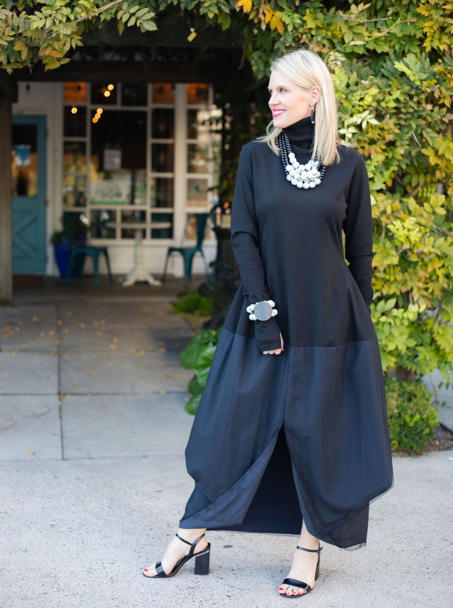 Drop Waist Turtleneck Dress