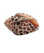 Conch Hair Clip | Brown