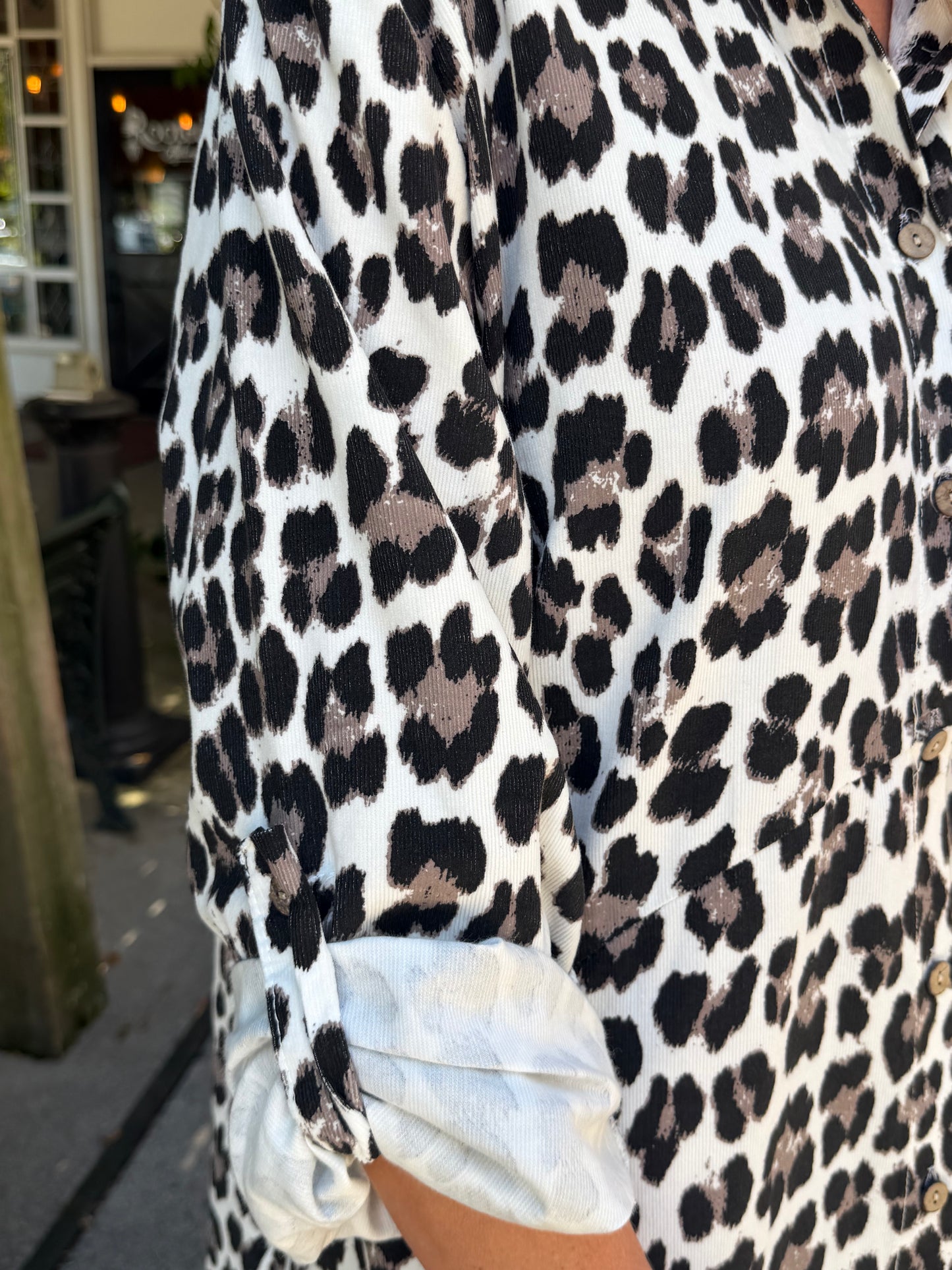 Corduroy Animal Print Dress