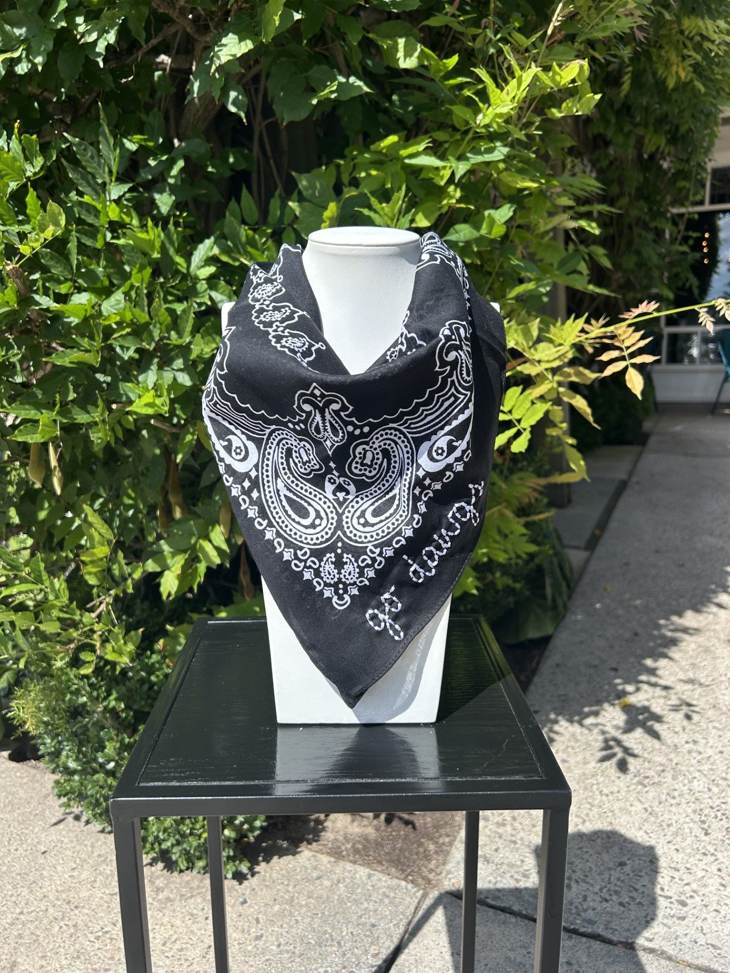 Go Dawgs Embroidered Bandana | Black
