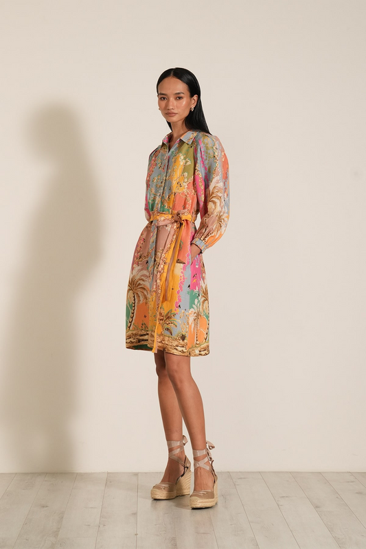 Sienna Shirt Dress