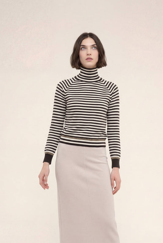 Stripe Turtleneck