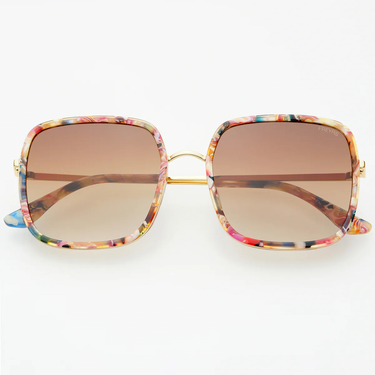 Cosmo | Rose Tortoise