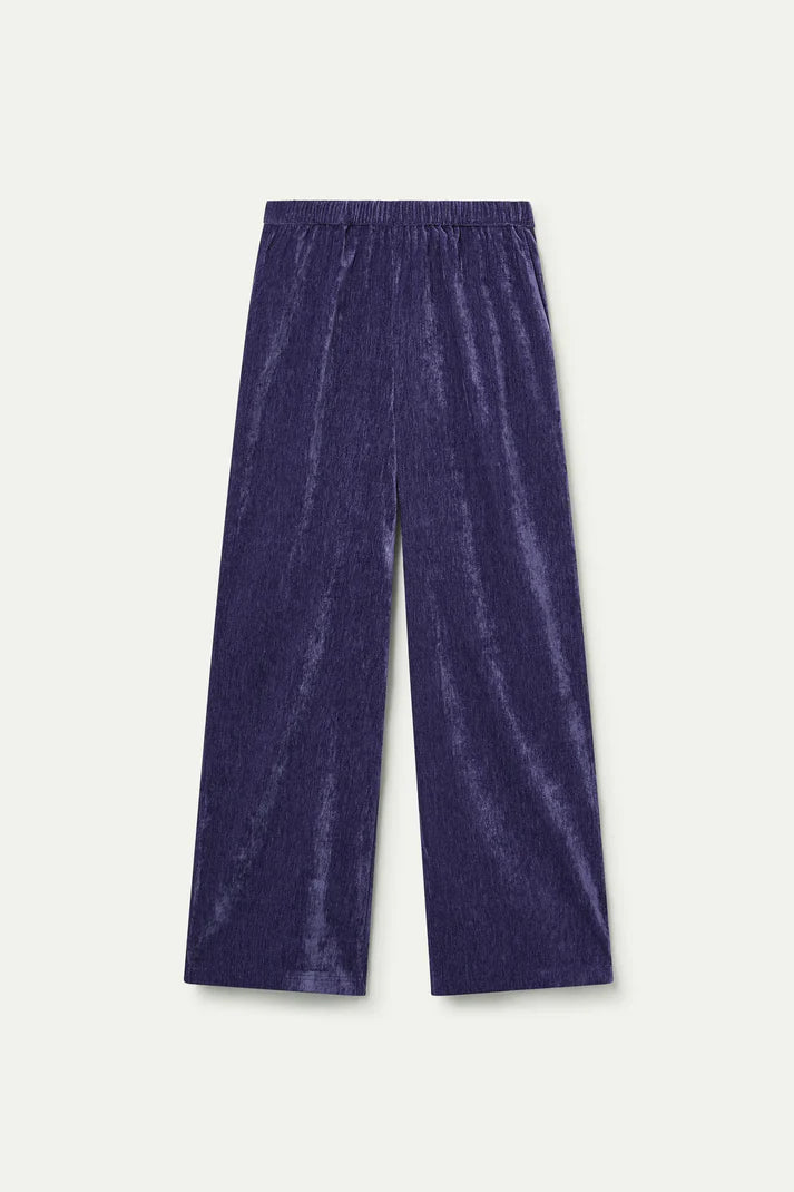 Violet Pant