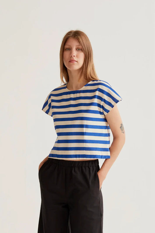 Blue Bamboo Stripe Top