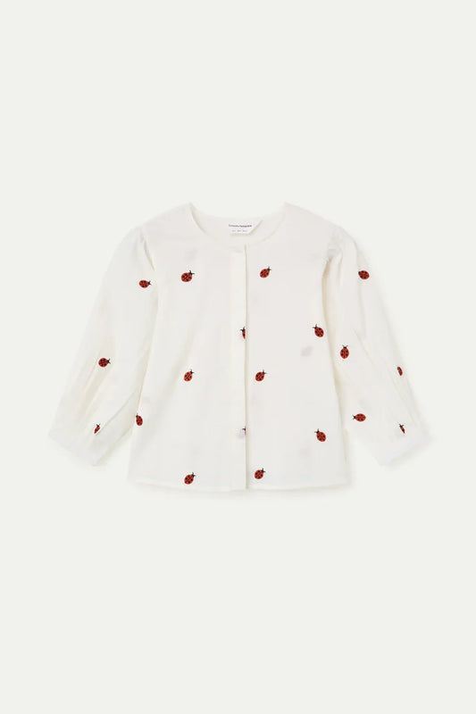 Ladybugs Shirt