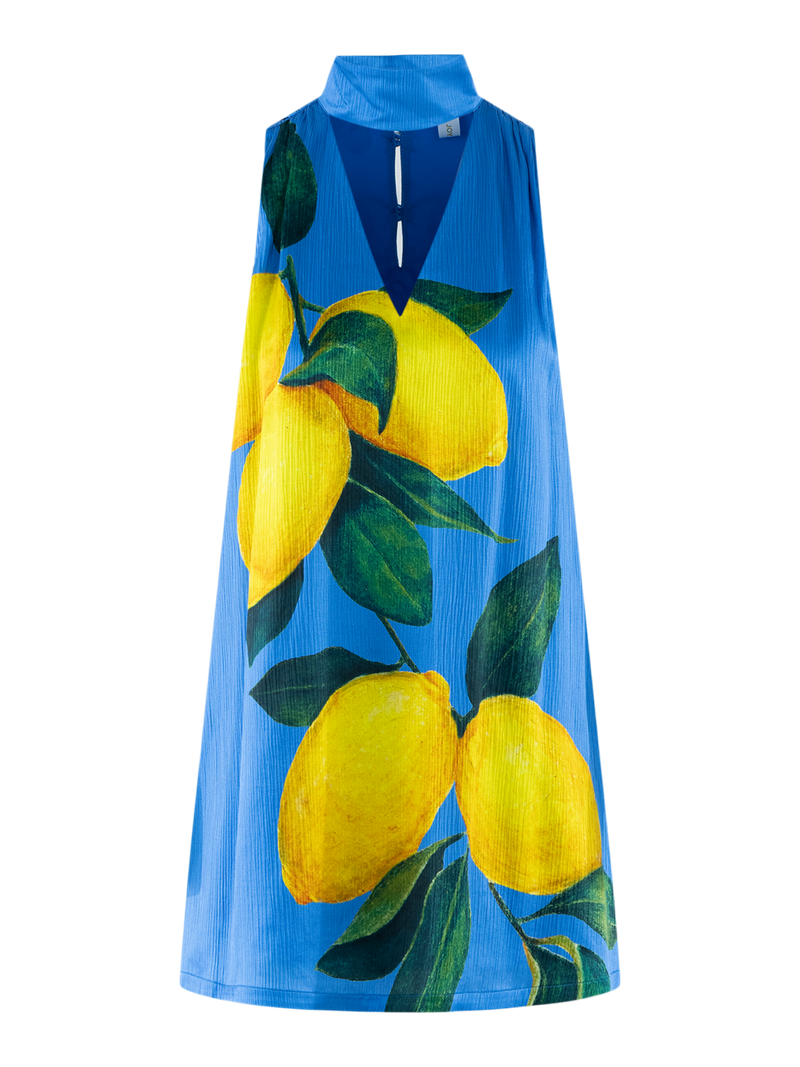 Milan Mini Dress