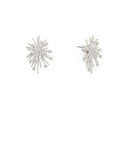Crystal Snowflake Earrings
