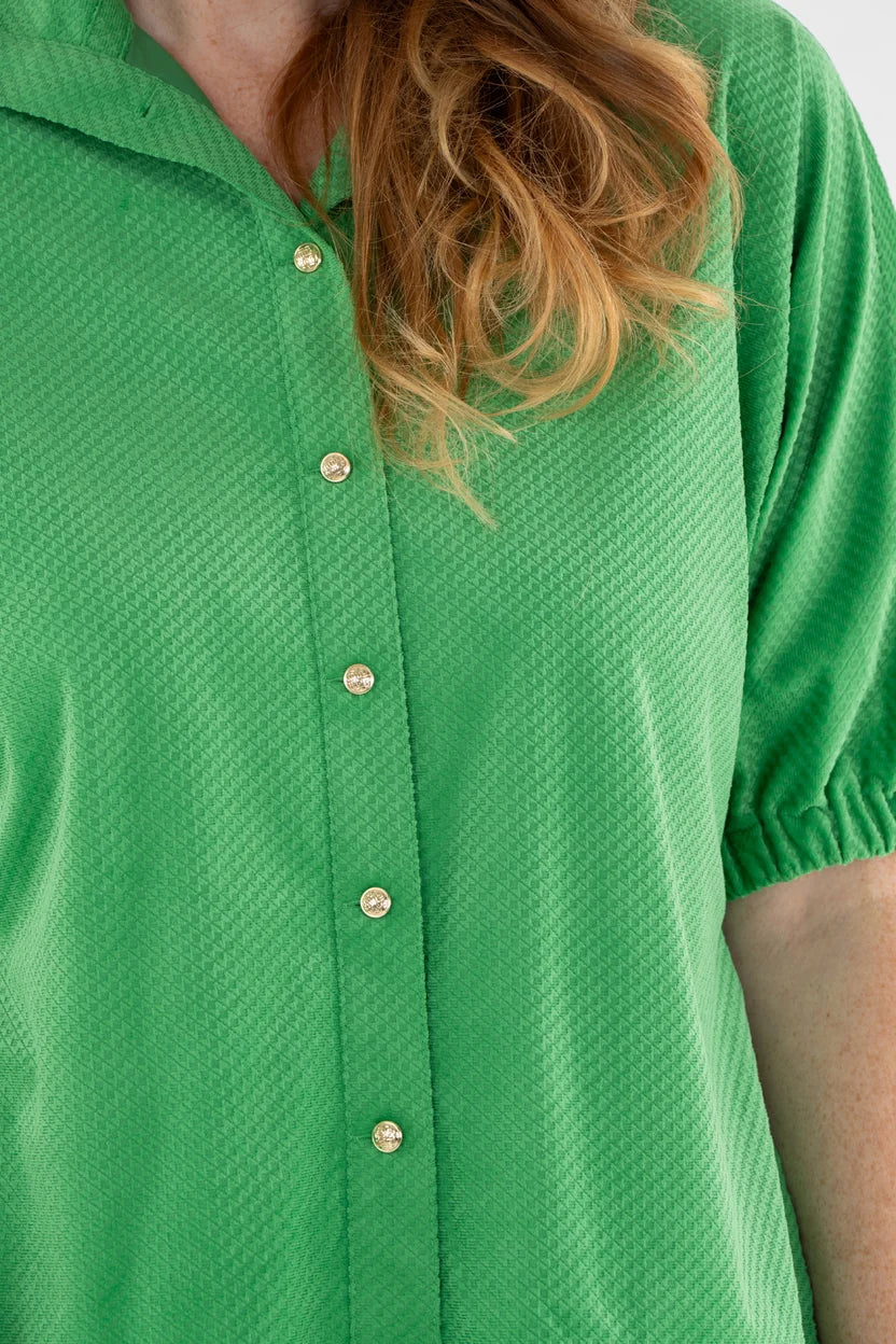 Bonny Top | Winter Pine