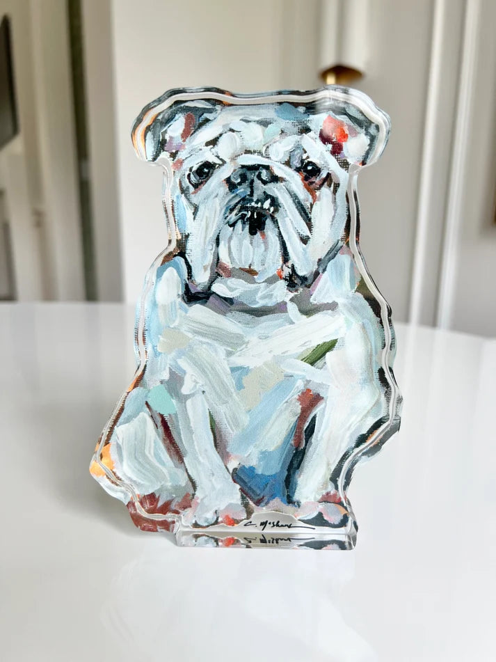 Acrylic Bulldog | White
