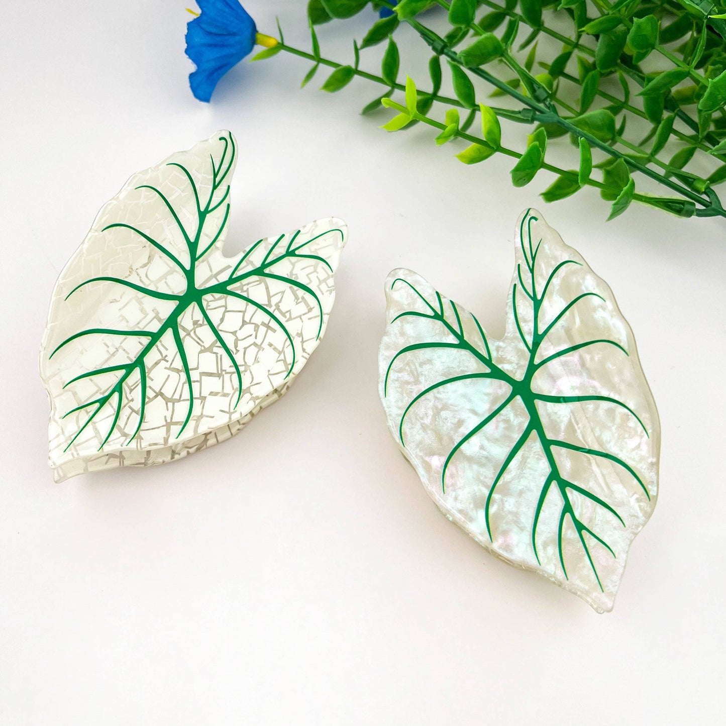 Monstera Leaf Hair Claw Clip Tropical Vacation Cute: Greenwhite