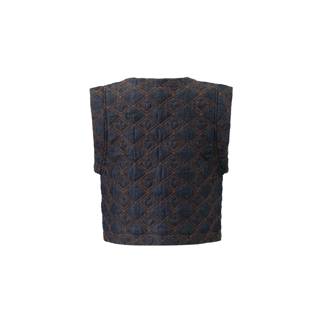 Tyler Denim Vest